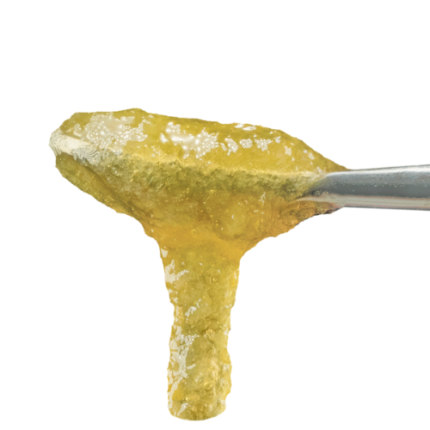 Apple Runtz Live Rosin Jam